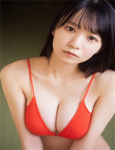 普林格拉
